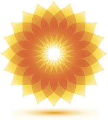 vector sunflower icon