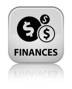 finances (dollar sign) special white square button
