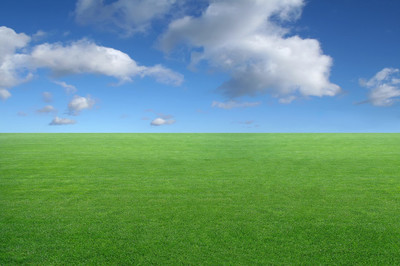 蓝蓝的天空背景上的风景-绿草