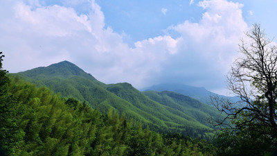 武夷山脉,大山深处.山峰名称"清明尖,江西省铅山县.