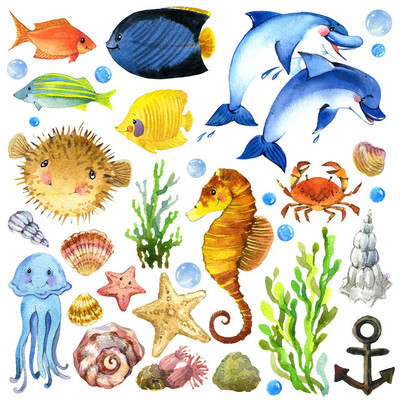 外来鱼, 珊瑚礁, 藻类, 不寻常的海洋动物, 海贝壳, 海葵和装饰海洋为