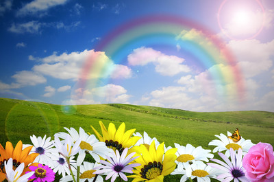 春天的花朵, 彩虹, 太阳和蓝蓝的天空