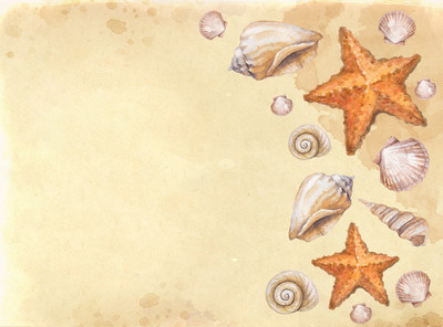 贝壳和海星插图的水彩背景