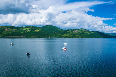 纯原创植物湖水背景图片