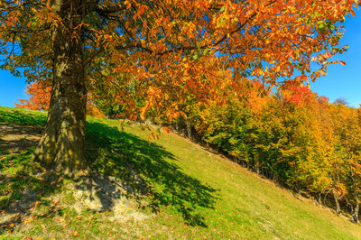 秋天山水风景高清图片相关的图片