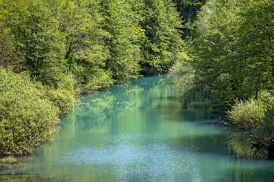 美丽的大自然和绿色的河