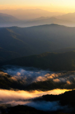 美丽景色的垂直柔和聚焦图泰国的日出与清晨的薄雾, 旅行, 风景和自然