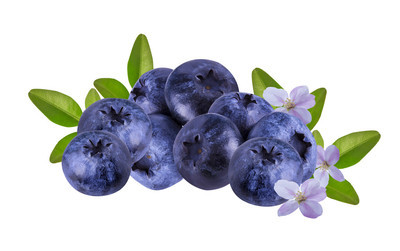 新鲜蓝莓果图片相关的图片