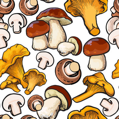 无缝模式的蘑菇 香菇 牛肝菌食用菌