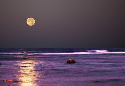 月亮 月光 夜间风景壁纸相关的图片