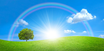 全景图的绿色的田野, 大树和蓝蓝的天空中的彩虹