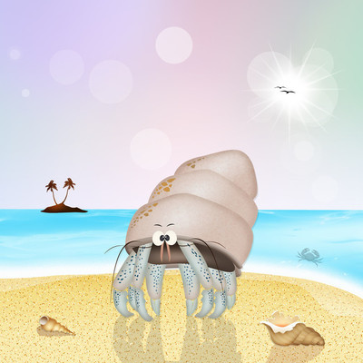 在沙滩上的寄居蟹