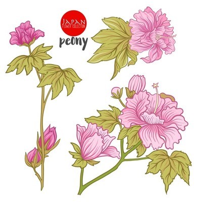 镇江早上素材图相关的图片